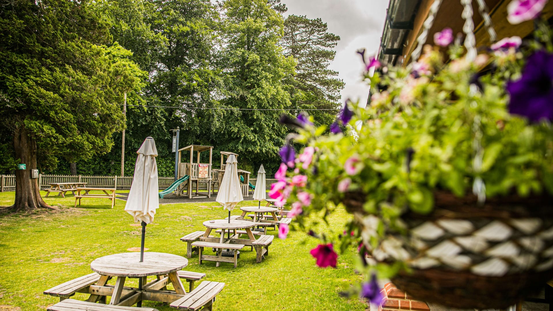 C-food-June2025 150 of 188