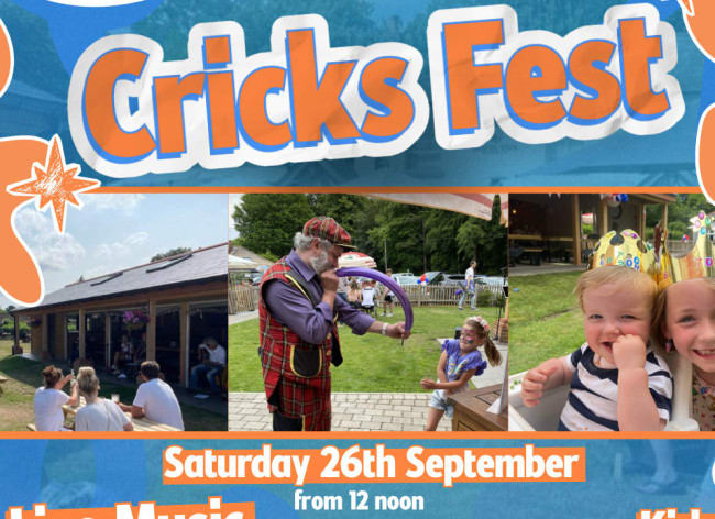 Cricks Fest Social Post